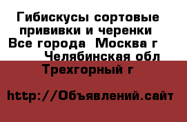 Гибискусы сортовые, прививки и черенки - Все города, Москва г.  »    . Челябинская обл.,Трехгорный г.